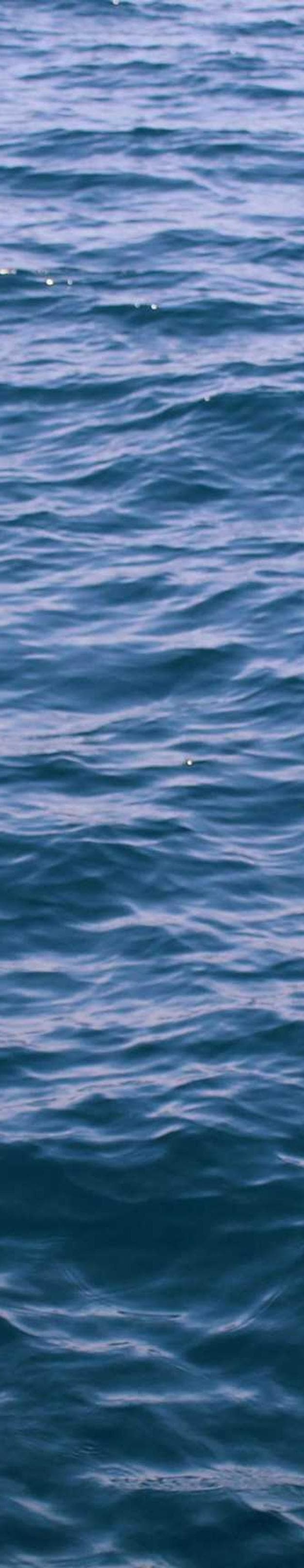 Finance